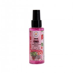 Spray Car Freshener Seet...