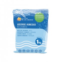 EXP.6 RECAMBIO ABSORBE...